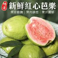 在飛比找生活市集優惠-【果之蔬】果農直配新鮮紅心芭樂5斤/10斤