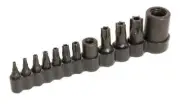 Lisle Tools 26530 Master Tamper Resistant/Proof Torx Bit Set