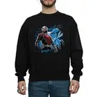 Ant-Man Mens Standing Cotton Sweatshirt (BI1249)