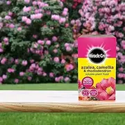 Miracle-Gro 16801 Plant Food Fertiliser, 500G, Azalea and Camellia