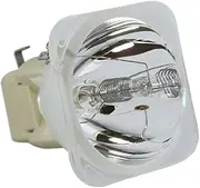 Replacement Projector Lamp Compatible Projector Bulb AL-JDT1 Compatible with LG DS125 AB110 DS-125 DX-125 DX125 Projector Lamp Bulb