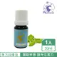 【Phoenix 菲馜思】羅勒天然單方純精油10ml/1入(香氛薰香/清潔/泡澡沐浴)