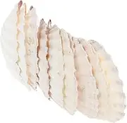 Scallop Shell Plate Set 10pcs Seashell Decor for Home Craft Plate for Snack Display Elegant Decor