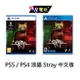 【AS電玩】首批特典 現貨 PS5 PS4 浪貓 Stray 中文版 實體版 (流浪貓咪 冒險遊戲)