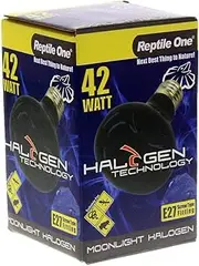 Reptile One 42 Watt Halogen Moonlight Heat Globe Bulb Lamp Eqv 60W Eddison Snake