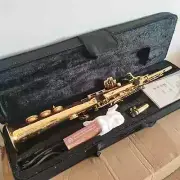 2025 New Yanagisawa S-901 Golden Color Alto Saxophone High Quality with Case