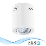 【大巨光】LED 12W 吸頂筒燈(LW-11-514A)