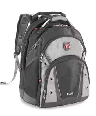 SwissGear Wenger Synergy Pro Backpack