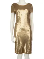 Gold Sequin Knee Length Dress