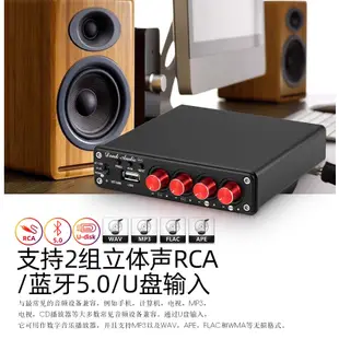 全新現貨Douk audio 4聲道數字功放擴大機U盤