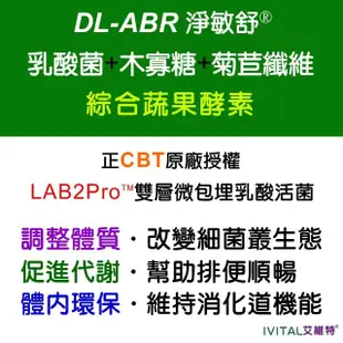 【DL-ABR淨敏舒】乳酸菌+蔬果酵素+菊苣纖維膠囊4入組(共240粒/乳酸菌/綜合蔬果酵素/木寡糖/菊苣纖維)