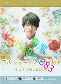 在飛比找Yahoo!奇摩拍賣優惠-DVD 專賣店 獻給阿爾吉儂的花束/Flowers for 