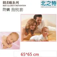 在飛比找Yahoo!奇摩拍賣優惠-【北之特】防螨寢具_抱枕套_E3精柔眠_ (65*65 cm