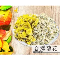 在飛比找蝦皮購物優惠-【耀眼多豐富 菊花 台灣菊花 苗栗菊花 台灣苗栗菊花 無毒菊