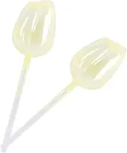 Plant Watering Globes - Indoor Outdoor Self-Watering Bulbs, Automatic Moisture Control | Decorative Glass Design, Slow Release Watering for Potted Plants, Easy Hydration