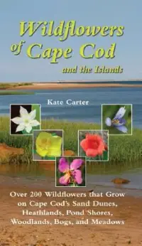 在飛比找博客來優惠-Wildflowers of Cape Cod and th