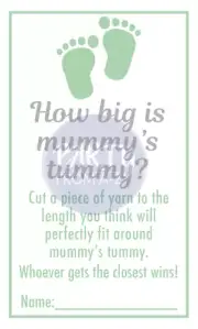 Baby Shower Baby Boy Mint Mummy's Tummy Guess