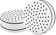 Brondell FF-15X2 Replacement Water Filter for VivaSpring Filtered Shower Head, Lasts 6 Months, 2-Pack