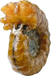 PLAFOPE Snail Tiles Home Desk Decor Conch Stone Decor Wall Decor Living Room Computer Pad Precious Marble Macrame Kit Boho Car Decor Office Decor Room Decor Table Vase Crystal Stone