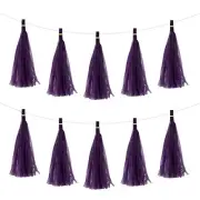 20Pcs Dark Purple Tassel Garland Banner with Rope