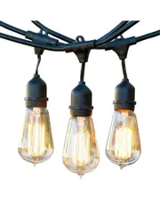 BRIGHTECH Ambience Pro 48' 15 Bulb Hanging String Lights