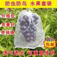 在飛比找樂天市場購物網優惠-葡萄套袋水果套袋防蟲防鳥網袋瓜果蔬菜防蟲袋塑料白色網袋浸種袋