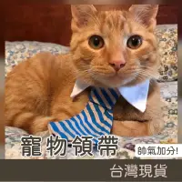 在飛比找蝦皮購物優惠-MOFU🐱 寵物領帶 寵物領巾 貓咪領帶 狗狗領帶 狗領帶 