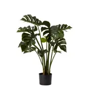 [Sleeping Giant] Monstera Potted Plant Green - 40cm x 40cm x 80cm