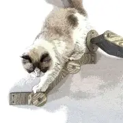 HeyKitten Cat Climbing Wall Stairs with Two Steps of Jute Rope Wrapped Posts ...