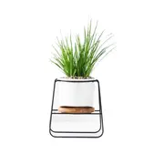Poise Pot Indoor Little Plant Stand Decor Plant Stands