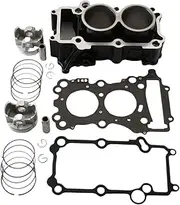 Motorcycle Cylinder Block Kit For MT-25 YZF R25 YZF250 250cc 1WD-E1311-10