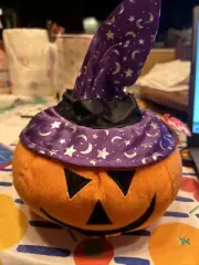 Ty Puffies Gourdy