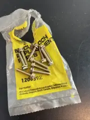 10x McCulloch Pro Mac 605 610 645 650 655 EB3.7 Carb Box Screws NOS 120039