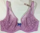 Victorias Secret Lilac Lace Plunge Unlined Demi Bra Body By Victoria 36C-38D-DD