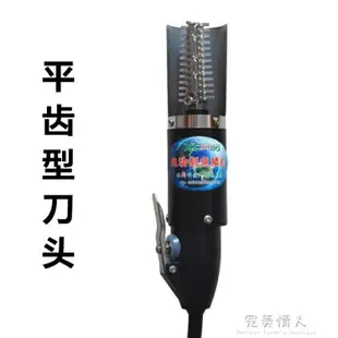 電動刮魚鱗機電動刮魚鱗器 殺魚工具魚鱗刨去魚鱗工具魚鱗 雙十一購物節