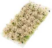 1 Box Sand Table DIY Material Flowers Artificial Moss Tuft Mini Garden Decoration Succulent Plant Simulated Vegetation Miniature Scene Floral Outdoor Artificial Plants Pink Plastic