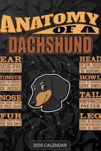 在飛比找博客來優惠-Anatomy Of A Dachshund: Dachsh