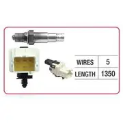 RAE Oxygen Sensor - OX790