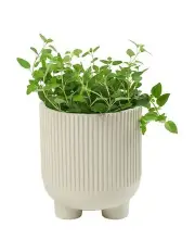 [Salt&Pepper] S&P Maxen Planter Stone 17.5x19cm