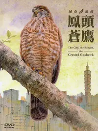 在飛比找誠品線上優惠-城市．遊俠．鳳頭蒼鷹