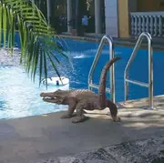 Bronze Alligator Spitting Statue Home Garden Sculpture / Fountain