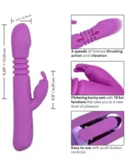 CalExotics Jack Rabbit Elite Thrusting Dual Stimulation Massager Rabbit Vibrator