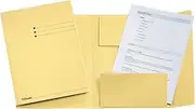 Esselte Leitz Three-Flap Folder A4 Manila Cardboard Yellow