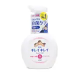 「現貨」日本 獅王 LION 趣淨抗菌洗手液 果香洗手慕斯 250ML 2款