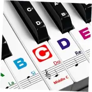 Piano Keyboard Stickers for Beginners Removable Piano Stickers for Multicolor