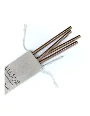 [Lujo Home] Reusable Straws Smoothie Size Rose Gold Straight
