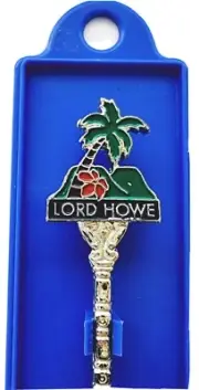 Lord Howe Island Vintage Palm and Flower Collector's Teaspoon