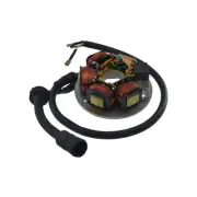 Stator Magnet Piaggio APE TM P 50 1985 1989 TL4T