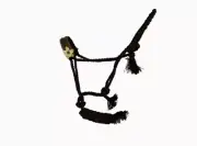 Showman Brown Nylon Mule Tape Halter & Lead With Leather Flower Accent Noseband