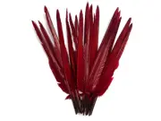 1/4 Lb. Burgundy Goose Pointers Long Primary Wing Wholesale Feather Halloween
